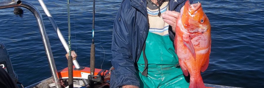 Ouderdom pla oom Freddie maar min en hy geniet nog sy dag op see.